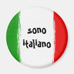 Flag of Italy. i love italy. Magnet