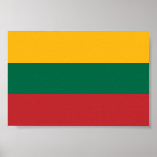 Flag of Lithuania Poster