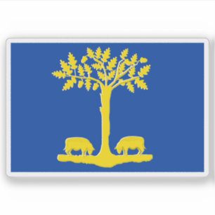Flag of Lommel, Belgium