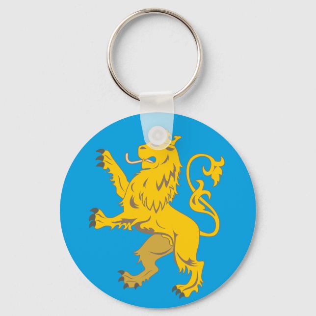 Flag of Lviv Oblast Key Ring (Front)