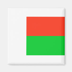 Flag of Madagascar Magnet