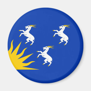 Flag of Merionethshire Magnet