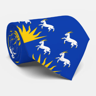 Flag of Merionethshire Neck Tie