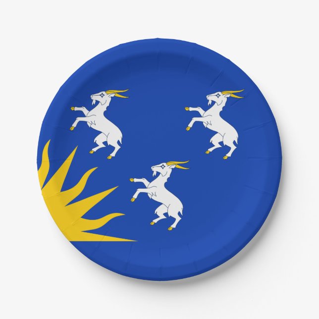 Flag of Merionethshire Paper Plates (Front)