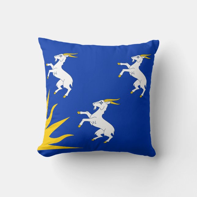 Flag of Merionethshire Throw Pillow (Front)
