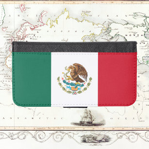 Flag of Mexico Case