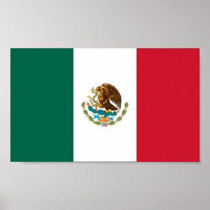 Flag of Mexico Poster