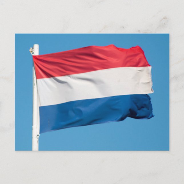 Flag of Netherlands Postcard (Front)