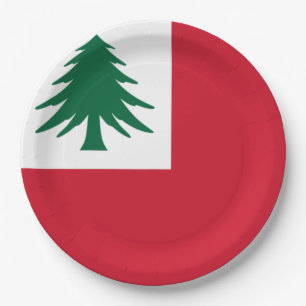 Flag of New England Paper Plate