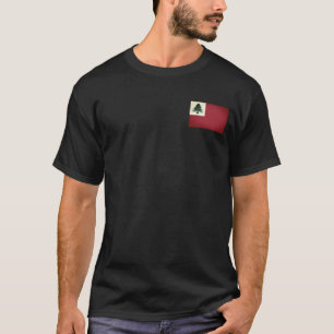 Flag of New England (pine only) - unofficial T-Shi T-Shirt