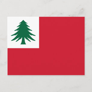 Flag of New England Postcard