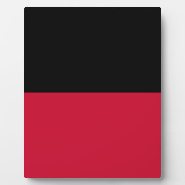 Flag of Nijmegen Plaque (Front)