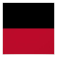 Flag of Nijmegen