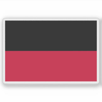 Flag of Nijmegen, the Netherlands