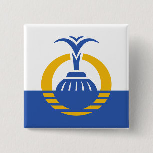 Flag of Orlando, Florida. 15 Cm Square Badge
