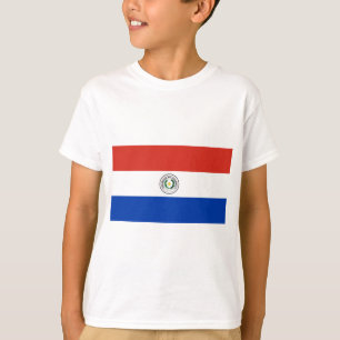 Flag of Paraguay T-Shirt