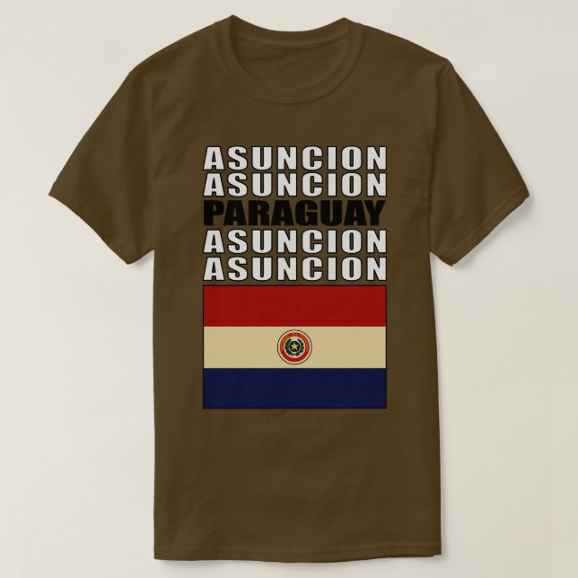 Flag of Paraguay T-Shirt (Design Front)