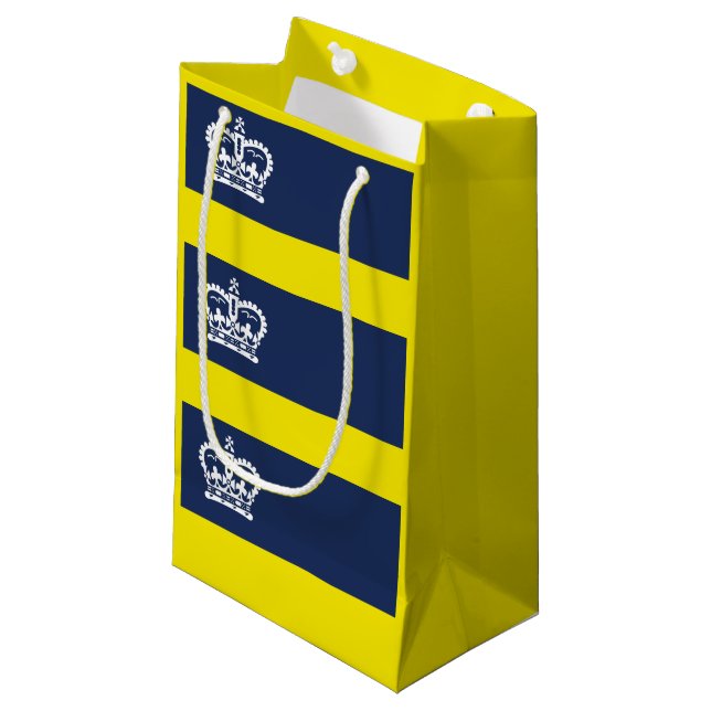 Flag of Regina, Saskatchewan Small Gift Bag (Front Angled)