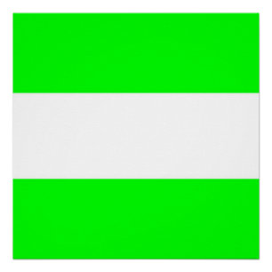 Flag of Rotterdam Poster