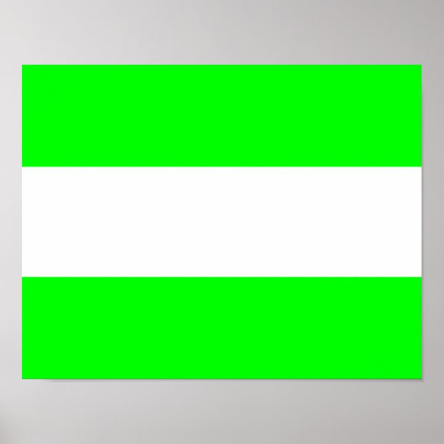 Flag of Rotterdam Poster (Front)