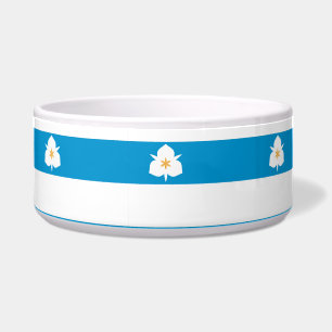Flag of Salt Lake City, Utah