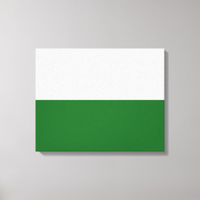 Flag of Saxony (German State) Canvas Print (Front)