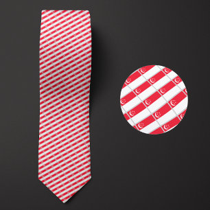 Flag of Singapore Pattern Tie