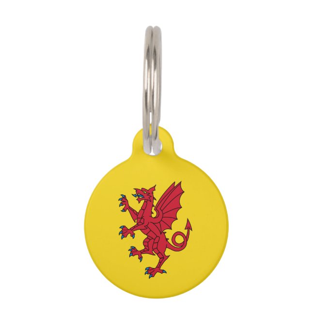 Flag of Somerset  Pet Tag (Front)