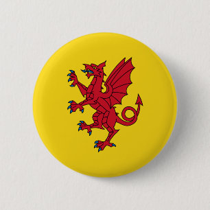 Flag of Somerset Pinback Button