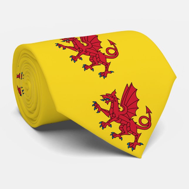 Flag of Somerset Tie (Rolled)