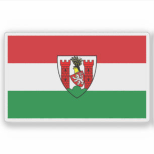Flag of Spremberg, Germany