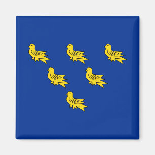 Flag of Sussex Magnet