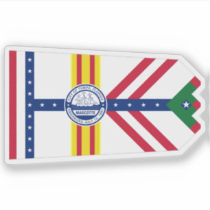 Flag of Tampa, Florida