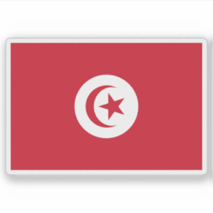 Flag of the Beylik of Tunis (1827–1881), Tunisia