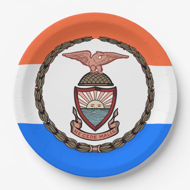 Flag of the Bronx (Borough in New York City) Paper Plate (Front)