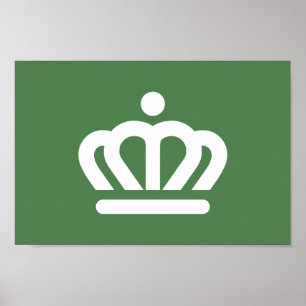 Flag of the city of Charlotte Poster