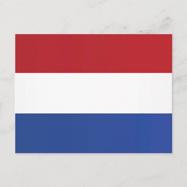 Flag of the Netherlands Postcard (Front)