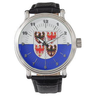 Flag of Trentino Alto Adige (Italy)   Watch