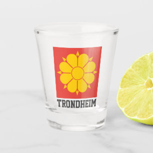 Flag of Trondheim, Norway Shot Glass