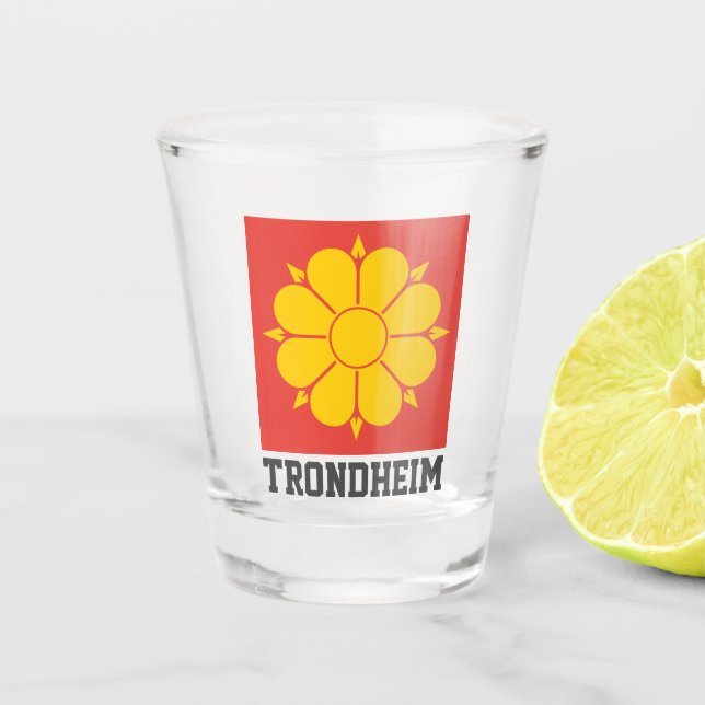Flag of Trondheim, Norway Shot Glass (Front)