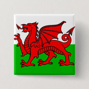 Flag of Wales 15 Cm Square Badge