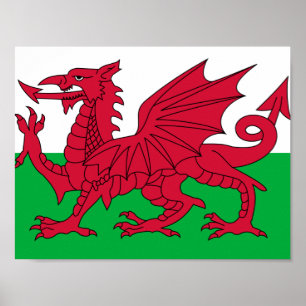 Flag of Wales Poster
