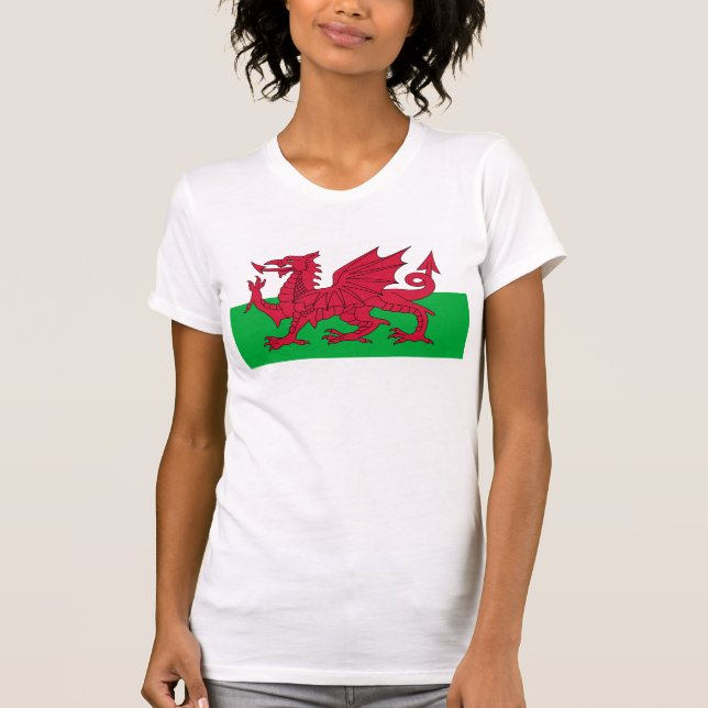 Flag of Wales - The Red Dragon - Baner Cymru T-Shirt (Front)