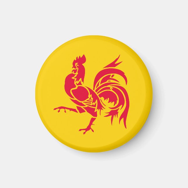 Flag of Wallonia Magnet (Front)