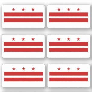 Flag of Washington DC, American state flag
