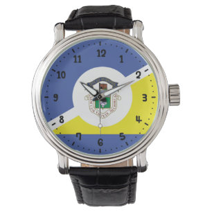 Flag of Winnipeg, Manitoba Watch