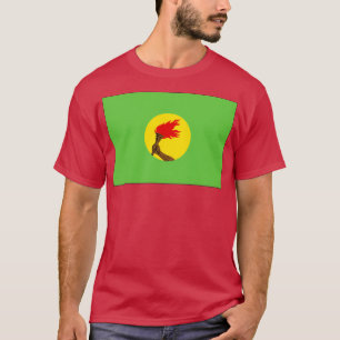 Flag of Zaire 1971 1997 T-Shirt