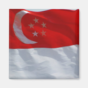 flag singapore magnet