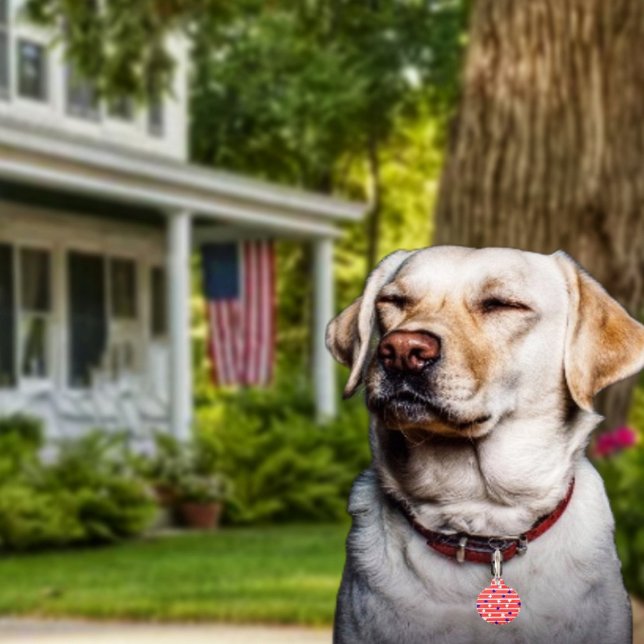 Flag Stars  Pet Tag (Get Fido in on the patriotic fun, with his or her own Flag Stripes Pet ID Tag!)