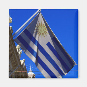 flag uruguay magnet